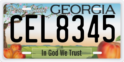 GA license plate CEL8345