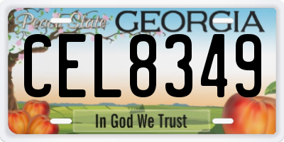 GA license plate CEL8349