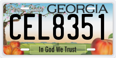 GA license plate CEL8351