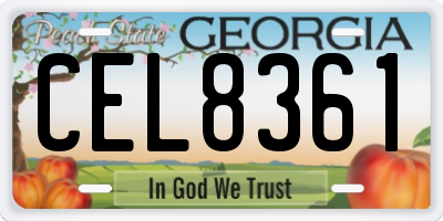 GA license plate CEL8361