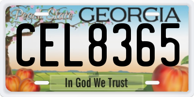 GA license plate CEL8365