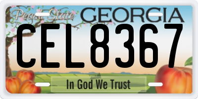GA license plate CEL8367
