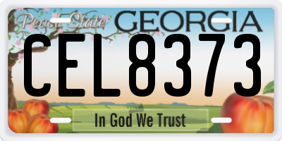 GA license plate CEL8373