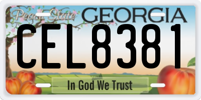 GA license plate CEL8381