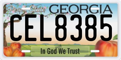 GA license plate CEL8385