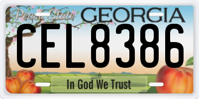 GA license plate CEL8386