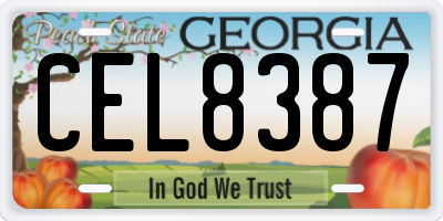 GA license plate CEL8387