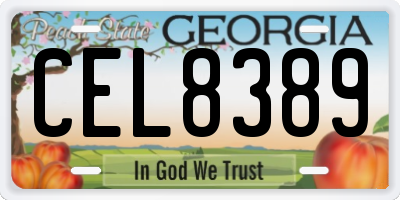 GA license plate CEL8389