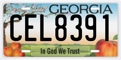 GA license plate CEL8391