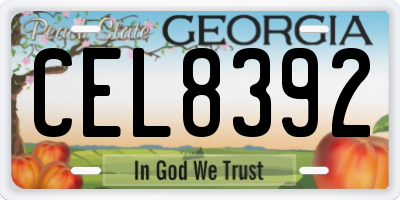 GA license plate CEL8392