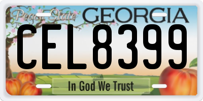 GA license plate CEL8399