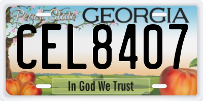 GA license plate CEL8407