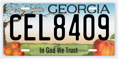 GA license plate CEL8409