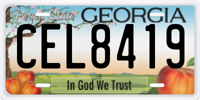 GA license plate CEL8419