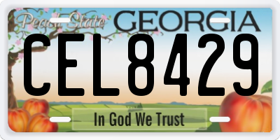 GA license plate CEL8429