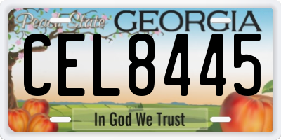 GA license plate CEL8445