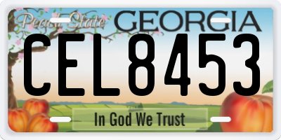 GA license plate CEL8453