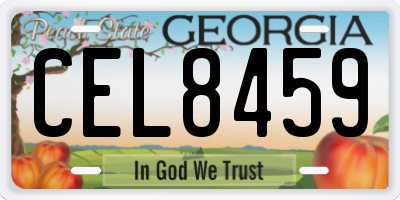 GA license plate CEL8459