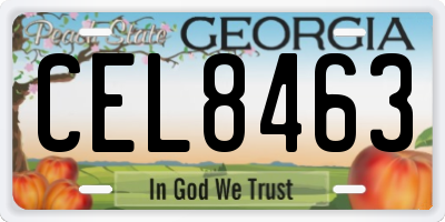 GA license plate CEL8463