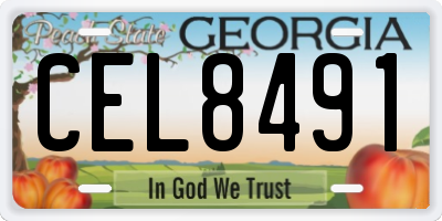 GA license plate CEL8491