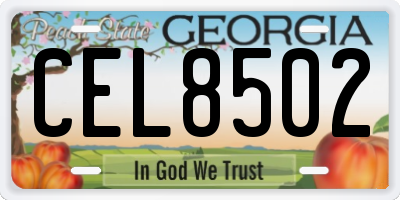 GA license plate CEL8502