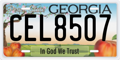 GA license plate CEL8507