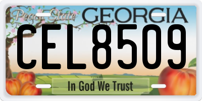 GA license plate CEL8509