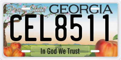 GA license plate CEL8511