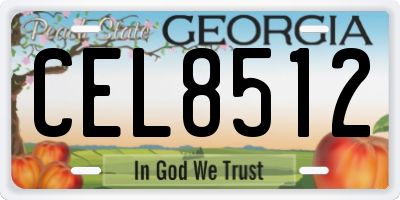 GA license plate CEL8512