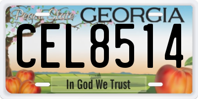 GA license plate CEL8514