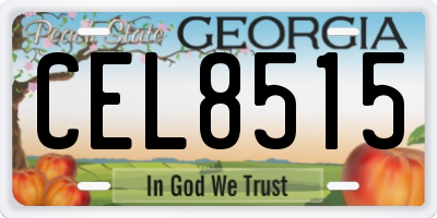 GA license plate CEL8515