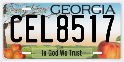 GA license plate CEL8517