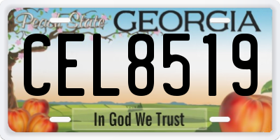 GA license plate CEL8519