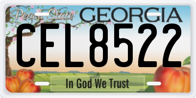 GA license plate CEL8522