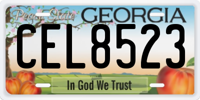 GA license plate CEL8523
