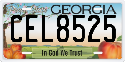 GA license plate CEL8525