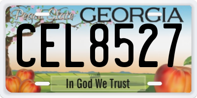 GA license plate CEL8527