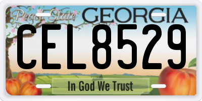 GA license plate CEL8529