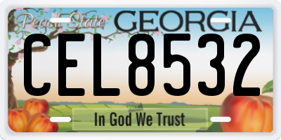 GA license plate CEL8532