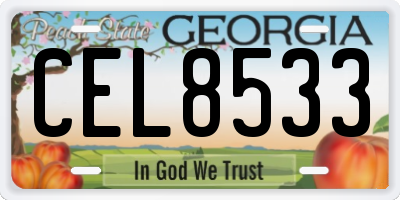 GA license plate CEL8533