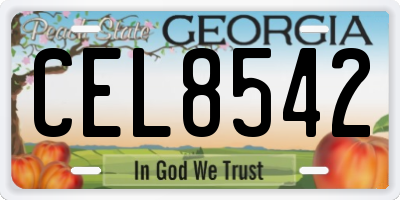 GA license plate CEL8542