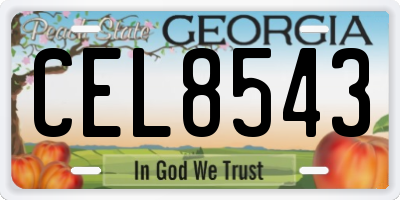 GA license plate CEL8543
