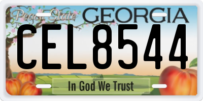 GA license plate CEL8544