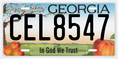 GA license plate CEL8547