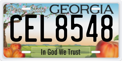 GA license plate CEL8548