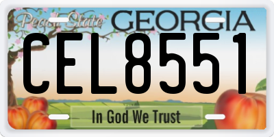GA license plate CEL8551