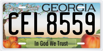 GA license plate CEL8559