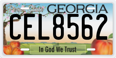 GA license plate CEL8562