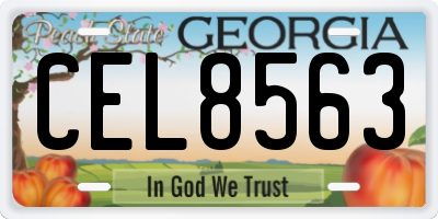 GA license plate CEL8563
