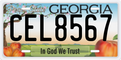 GA license plate CEL8567